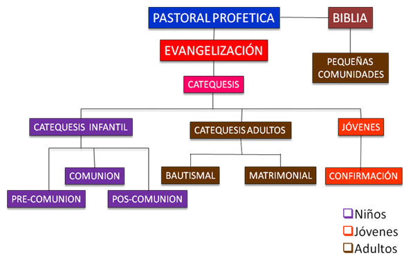 Constitución de la Pastoral Profética